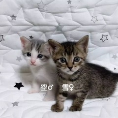 君たち可愛すぎやろ〜