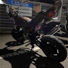 HONDAエイプ50の画像