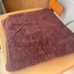 バスタオル 大判 厚手 180 無地 100×180cm 