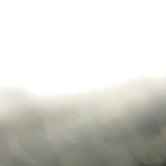 ZARA  ライダース  ナイロンの画像