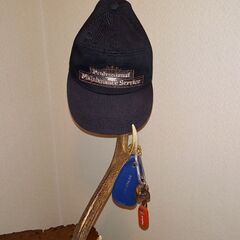 天然　鹿の角　オブジェの画像