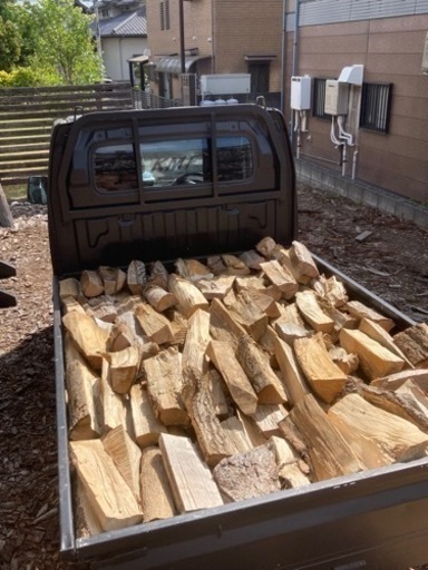 薪ストーブ、キャンプ用の薪（イチョウ）