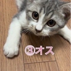 一時募集を停止させてもらっています。 − 滋賀県