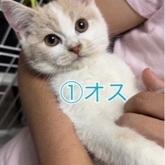 一時募集を停止させてもらっています。 - 高島市