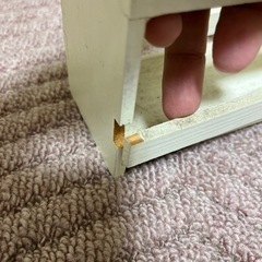 猫と蝶々の入れ物の画像