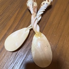 本物の貝のお皿とスプーンの画像