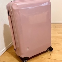ブランドメーカー　エース(日本製)