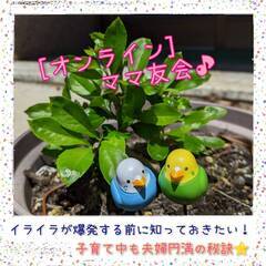 【平日オンライン】子育てがもっと楽しくなるママ友会♪