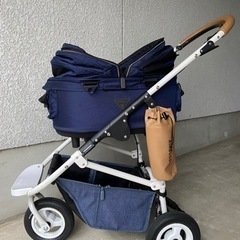エアバギーペット