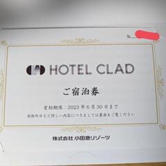 hotel clad 2名 富士山ビューツイン 宿泊券
