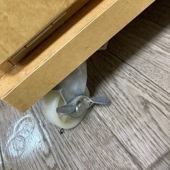 キッチンキャビネットの画像