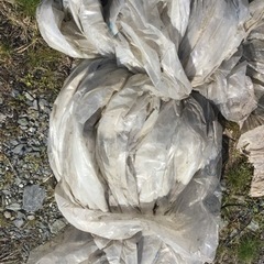 ビニール　中古　広い