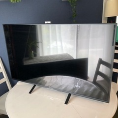 SONY BRAVIA 49v  