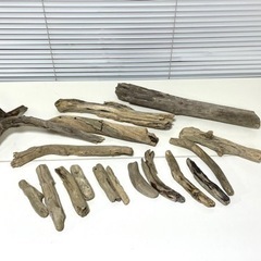 流木 17本セット　水洗い&乾燥済み