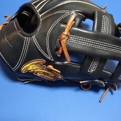 アイピーセレクト ipselect 十河モデル