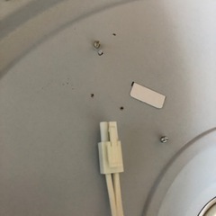 コイズミの画像