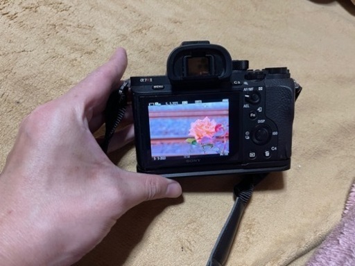 sony a7rii