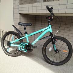 18インチ 子供用自転車 アイデス d-bike
