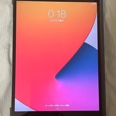 iPad pro 512gb + Apple Pencil 第一世代付き　お好みでカバーも