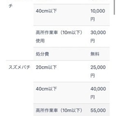 蜂の巣駆除します　　24時間対応