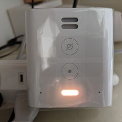 alexa echo flex