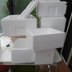 発泡スチロール　メダカなどに