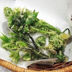 山菜・タケノコ・キノコ狩り【仲間募集】 − 千葉県