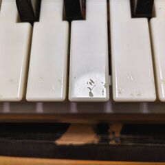 CASIO キーボードLK-350it　楽器の画像