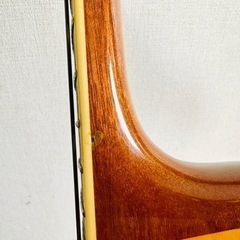 Archtop Tribute  アーチトップトリビュート AT102の画像