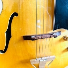 Archtop Tribute  アーチトップトリビュート AT102の画像
