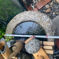 つくばい  金魚鉢  手水鉢  メダカ鉢にの画像