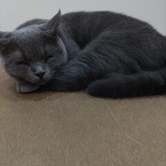 お友達になってください
