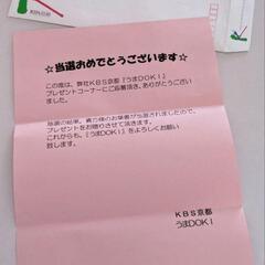 ★ケイアイノーテック額付きパネル★当選品★NHKマイルカップ優勝馬*うまDOKIの画像