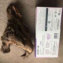 （隠れ家）シェルターの画像