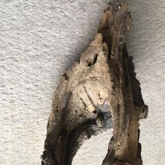 （隠れ家）シェルターの画像