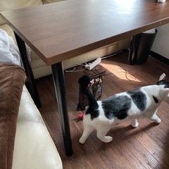 ダイニングテーブル差し上げます。
