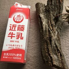 クヌギ原木の画像