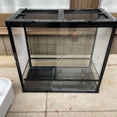 爬虫類ケージ　60×60×35の画像