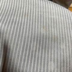 正絹　絽　夏着物の画像