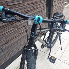 ヨツバサイクル24インチ　オーロラブラックの画像