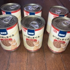 猫ペットフード　猫貴族