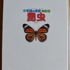 図鑑〜昆虫〜の画像