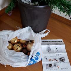 クリスマスツリー　ファイバーの画像