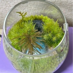 小さなビーチ_002の画像