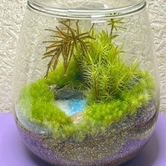 小さなビーチ_002の画像