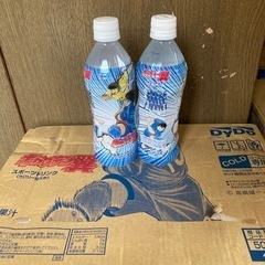 決まりました‼️『ケース購入のみ』1ケース24本　500ml ス...