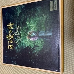 LPレコード　ある愛の詩