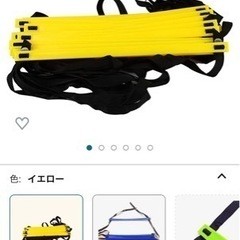 【値下げ】トレーニングラダーの画像