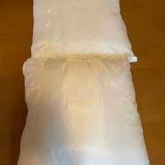 ヌードクッション　クッション中綿　2個セット