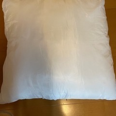 ヌードクッション　クッション中綿　2個セットの画像
